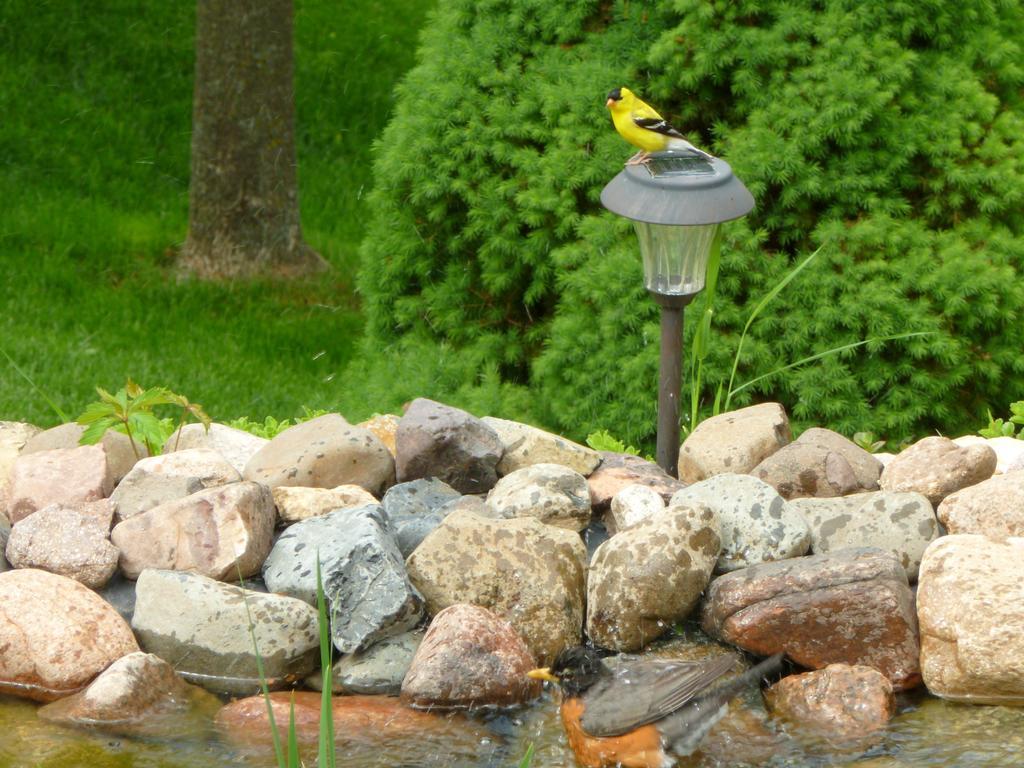 Villa Trickling Waters Retreat Marquette Esterno foto