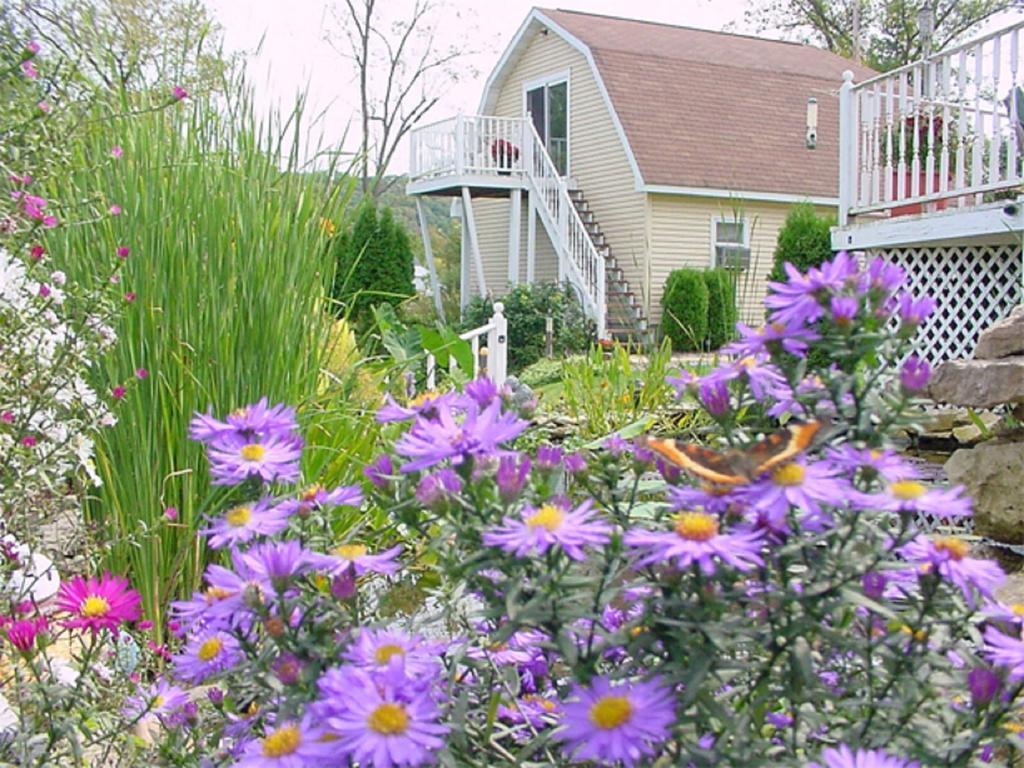 Villa Trickling Waters Retreat Marquette Esterno foto