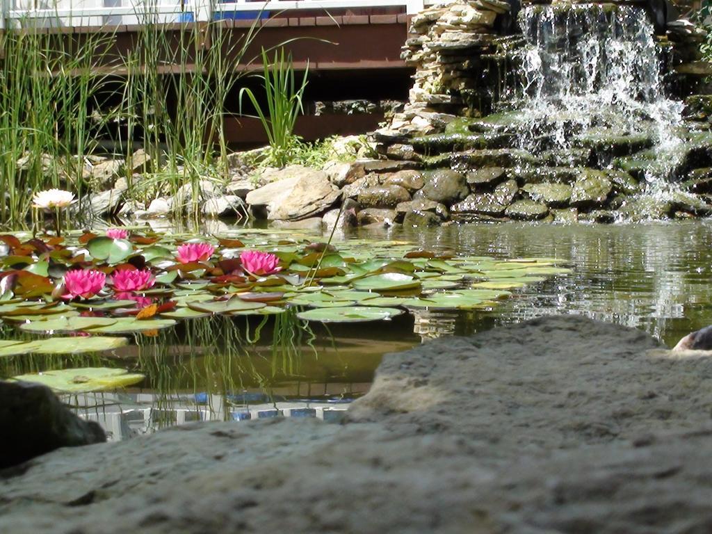 Villa Trickling Waters Retreat Marquette Esterno foto