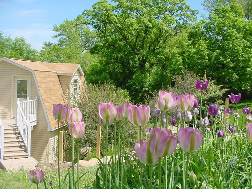Villa Trickling Waters Retreat Marquette Esterno foto