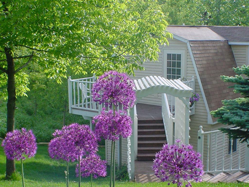 Villa Trickling Waters Retreat Marquette Esterno foto