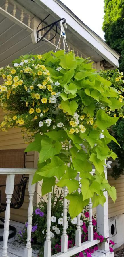 Villa Trickling Waters Retreat Marquette Esterno foto